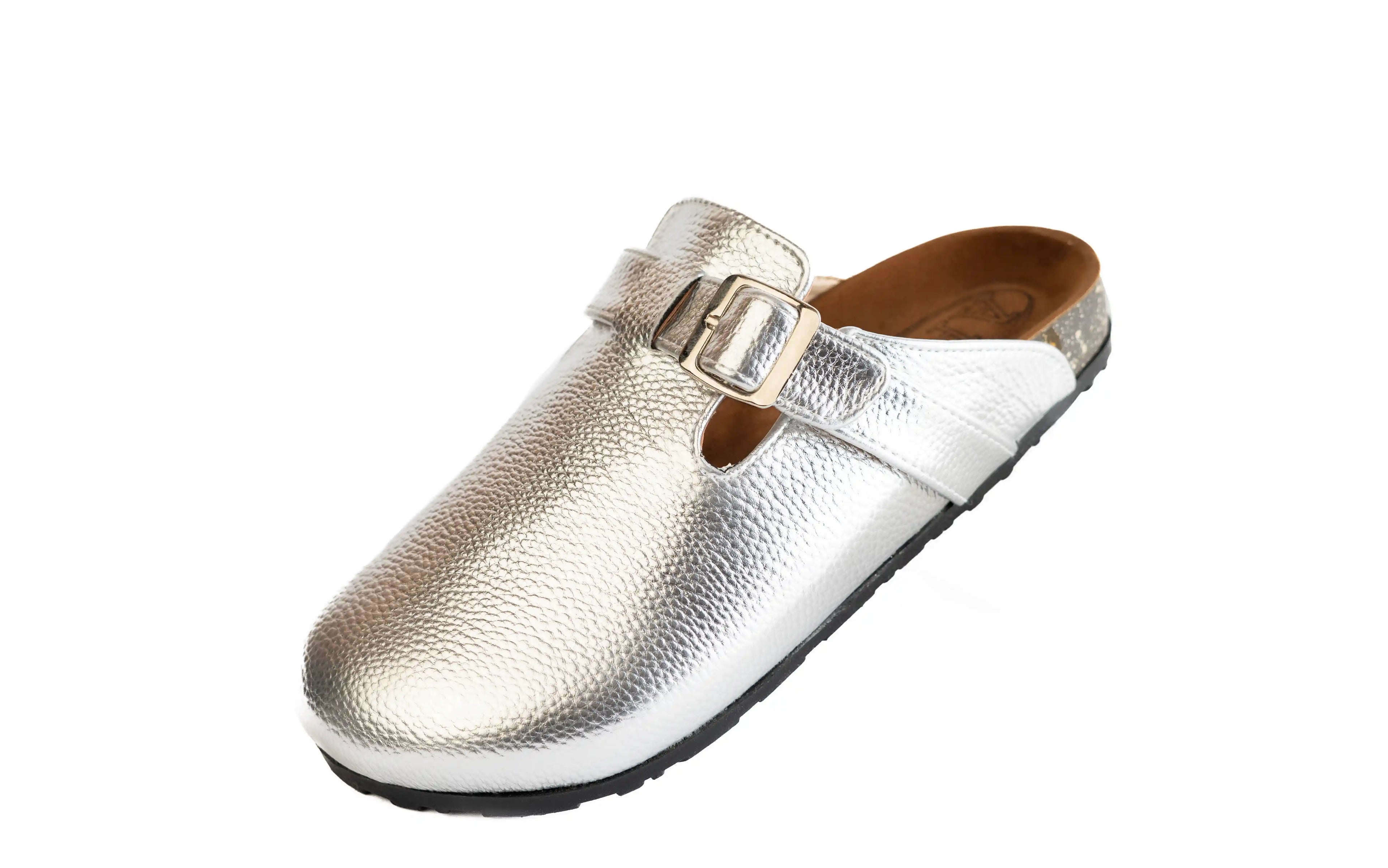 Clogs-silver